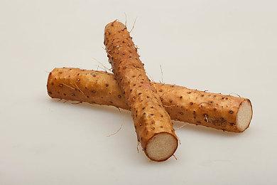 “TRIBE NINE” 全球 β 封测问卷结果与游戏数据大公开！